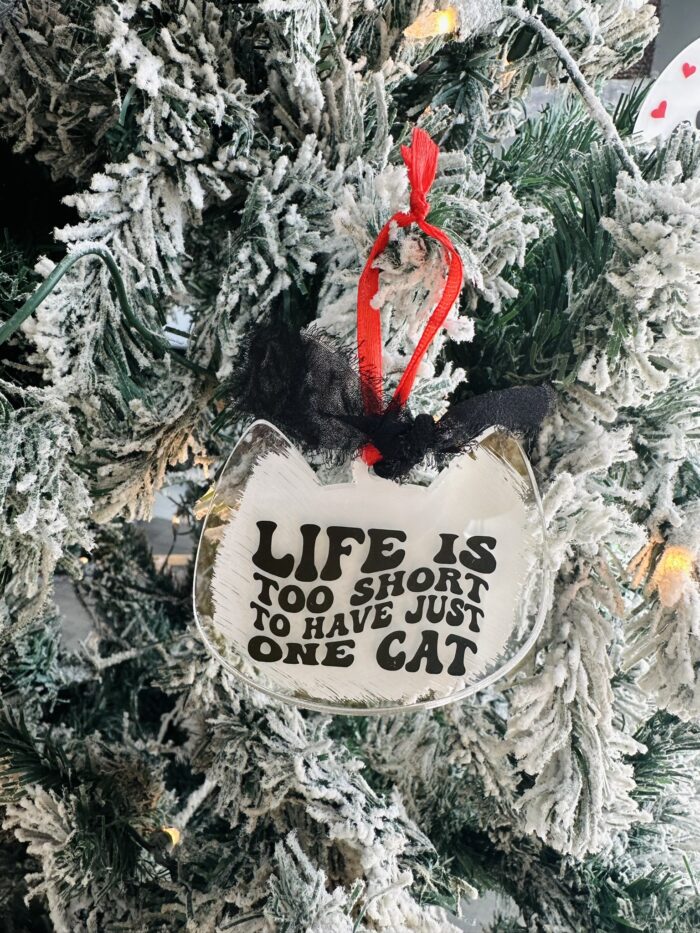 Life is too short to have one cat I Customizable